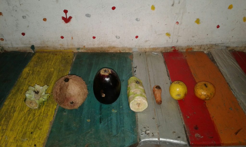 Mi noble legado en el refugio, las pipas (falta la de pimentón que se pudrió antes)